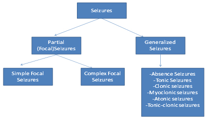 Types of epileptic seizures